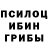 Псилоцибиновые грибы ЛСД Viper_chebu