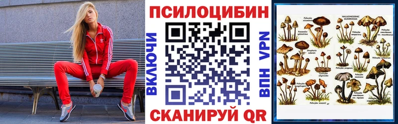 купить наркоту  Гаджиево  Галлюциногенные грибы прущие грибы 